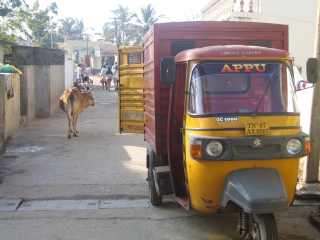 牛とオートリキシャー　Kovalam,Tamil Naduにて